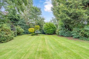 Photo 52- click for photo gallery